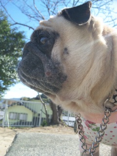 ܂a@f^_^;