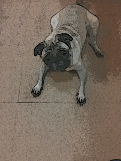 񂿂傱